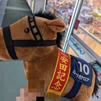 🐴♥