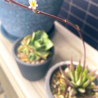 🩷明日のご予約ありがとうございます🩷
