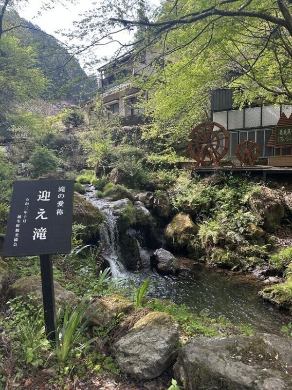 お久しぶりです👏