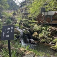 お久しぶりです👏