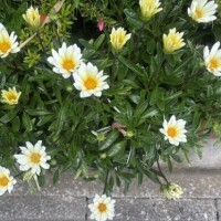 出勤しました☆