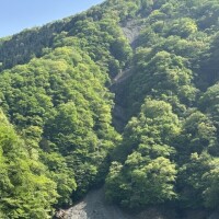 申し訳ありません😭