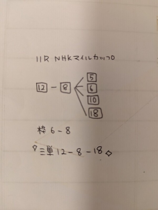 NHKマイルカップ💭✨