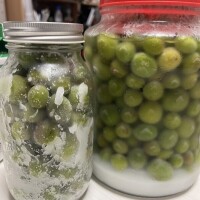 梅酒漬け〜