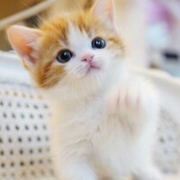 出勤しました😊