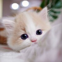 出勤しました😊