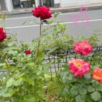 S様ありがとう💗🫶