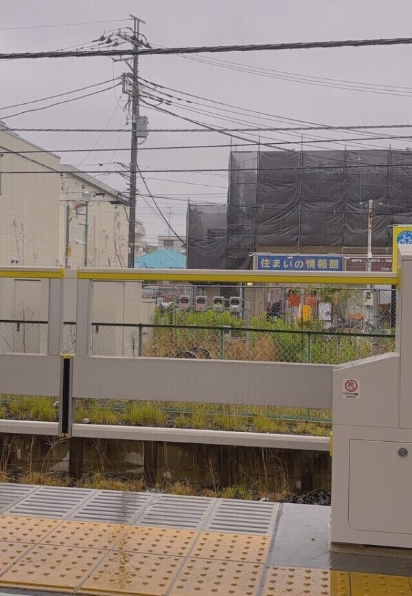 大雨☂️🌧️