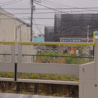大雨☂️🌧️