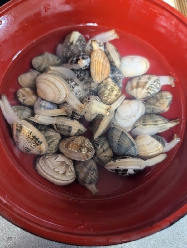 🐚‎(･.･*)