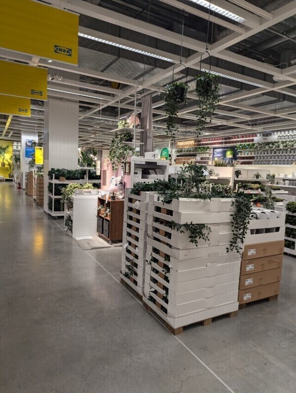 初IKEA✨