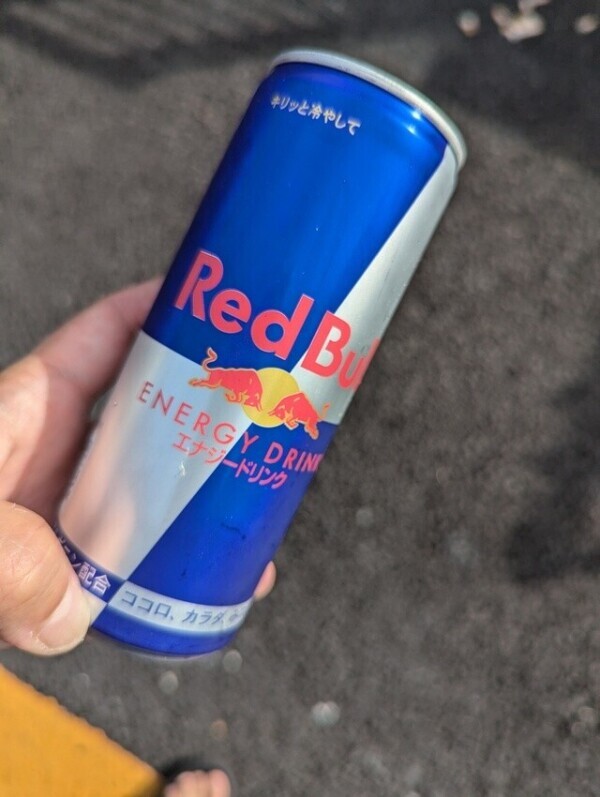 さてさて꒰( ˙ᵕ˙ )꒱