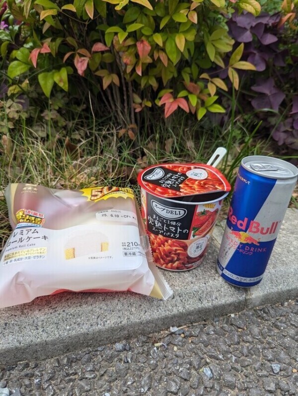 お昼ご飯ˡᵘⁿᶜʰ𓌉◯𓇋1269