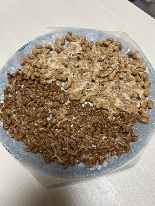 電子レンジで作る納豆フリーズドライに挑戦