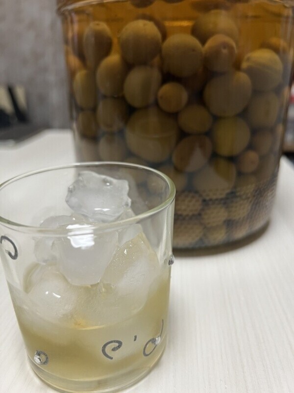 梅酒ロック◌𓈒𓐍