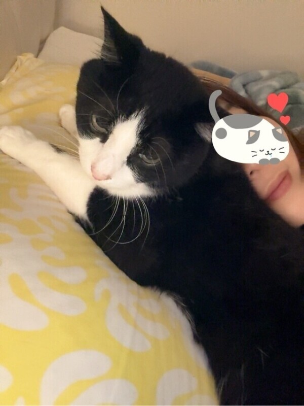 辿り着けたー