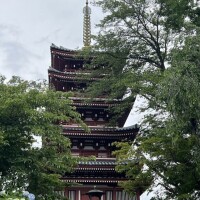 ͛💠37年振りにあじさい寺(本土寺)へ行ってきました💠