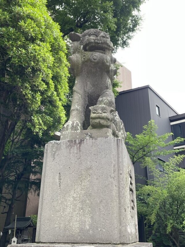 ご予約ありがとうございます
