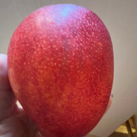 このマンゴー美味しく無い訳がないのよ〜