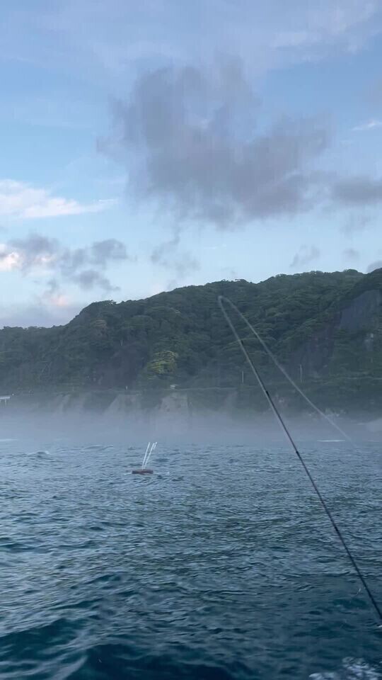 餌の
