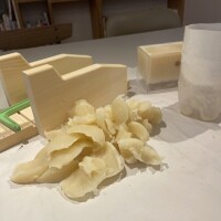 かのこ