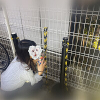 ふわふわ～