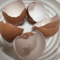 ステません