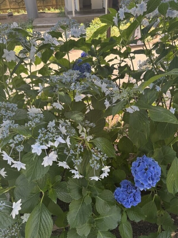 6月おーわり！☔️💐7月出勤🌻
