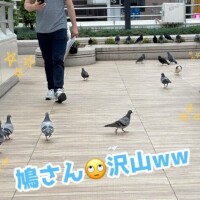 大集合🤣👏👏