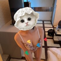 今日は17時から！