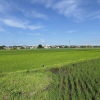 ご報告です‼︎