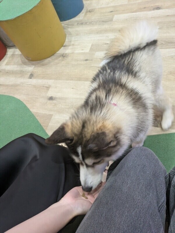 ⸌̷̻(⸝⸝⸝ෆ  ̫ ෆ⸝⸝⸝)⸌̷̻
