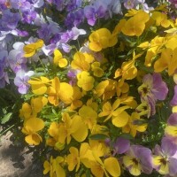 おっはようございます♡
