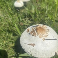 出勤しました