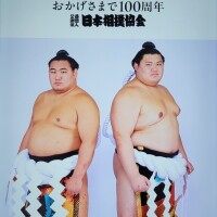 荒れる名古屋場所🤪