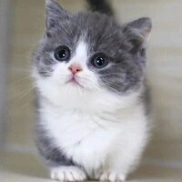 出勤しました～☺️
