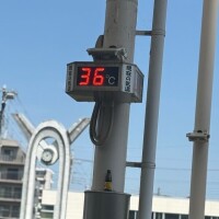 何処も……暑い☀️😖☀️