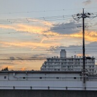 お礼♥