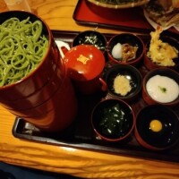 (｡･･)ﾉぉはょぅ♪