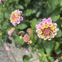 出勤しました。