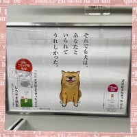 泣くって