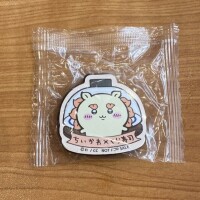 おはようございます🌷