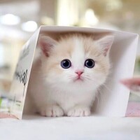 出勤しました～☺️