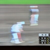 おぉぉ🏏