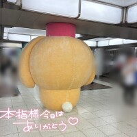ただちま♡