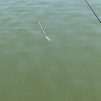 管釣り🎣