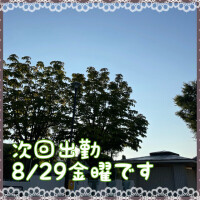 夜明け前