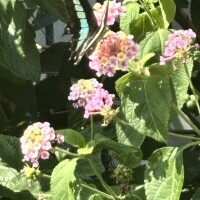 出勤致しました!