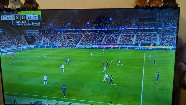 ( ˘꒳˘)⚽