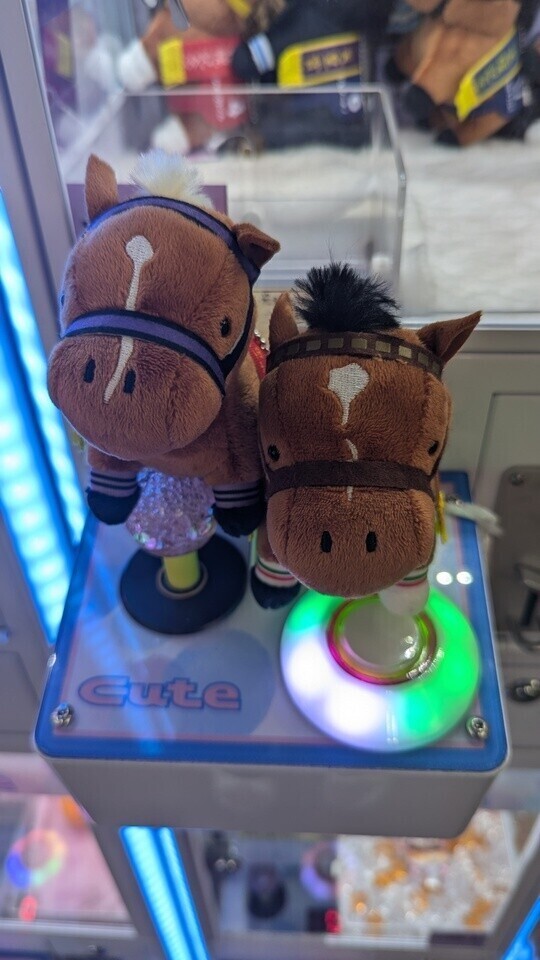 馬上手🐴💛